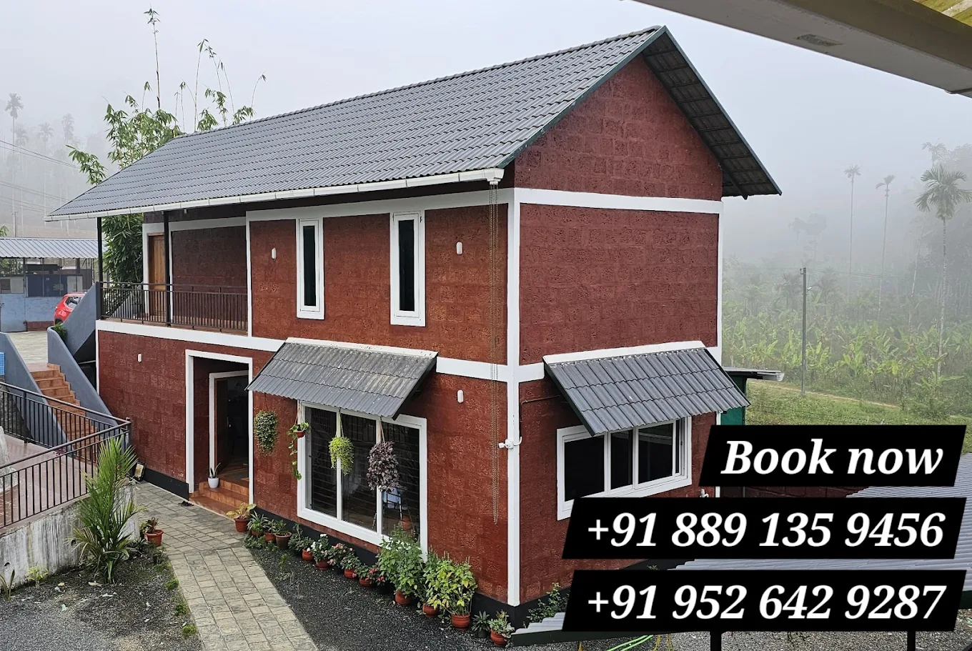 Cosy Haven Homestay 