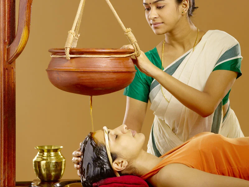 Sunispa Ayurveda And Luxury Wellness Spa Wayanad 