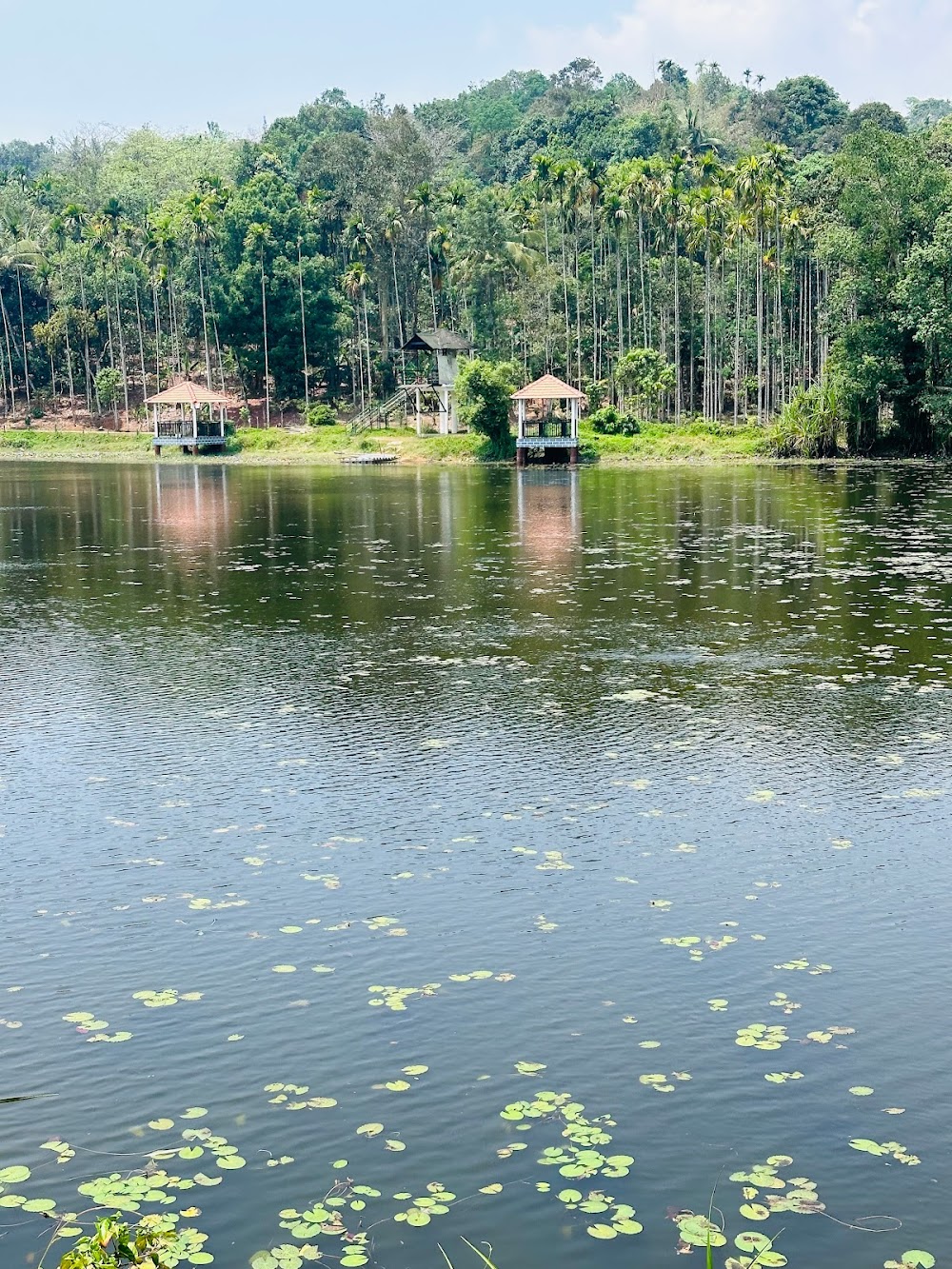Karlad Lake Resort Wayanad Luxury Lake View Stay Kerala