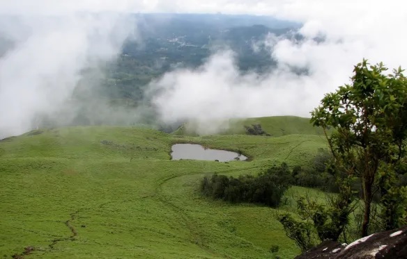 Thovarimala Ezhuthupara Wayanad