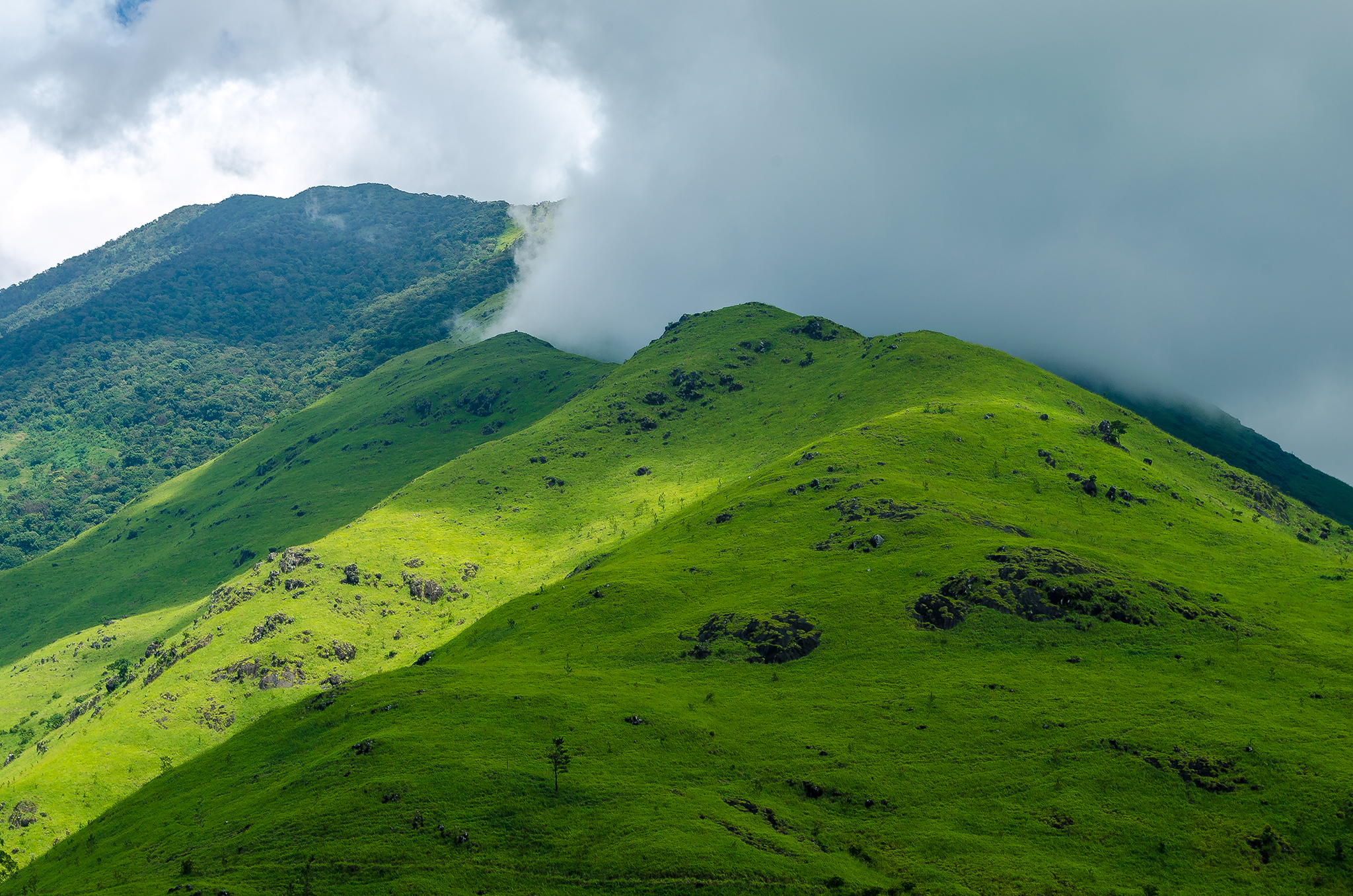 Banasura Hill Wayanad
