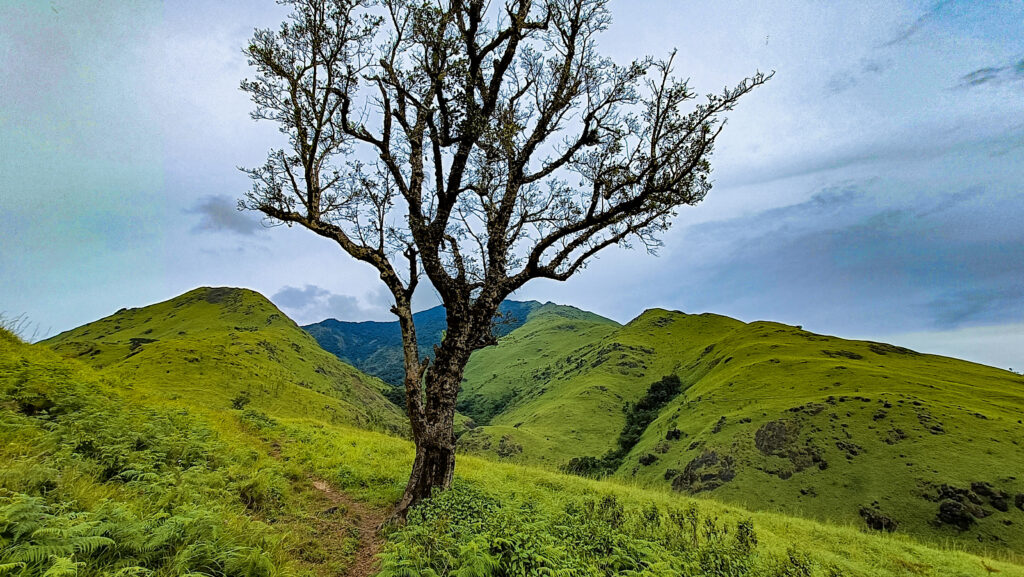 Panoramic view from the summit of Banasura Hill