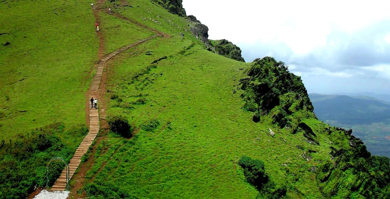 Lush green trekking trail in Brahmagiri Hills, Kerala