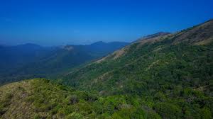 Dense forest and grasslands along Brahmagiri trekking route