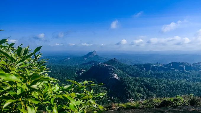 Wayanad sunrise view