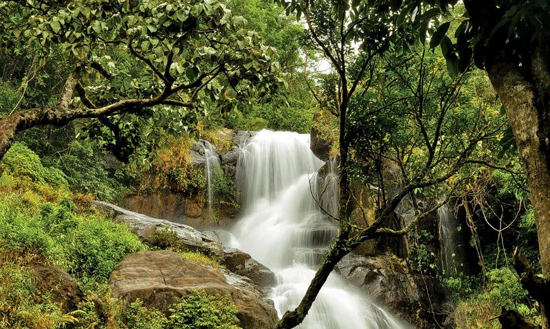 Trekking path to Chethalayam Waterfalls in Kerala