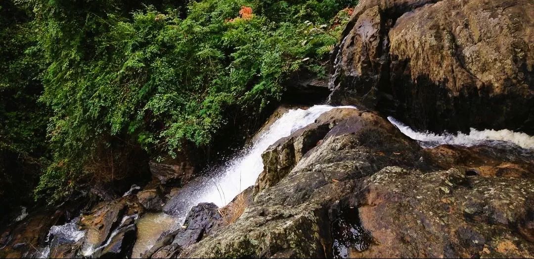 Tranquil forest setting around Chethalayam Waterfalls