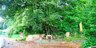 Karinthandan Temple Wayanad kerala