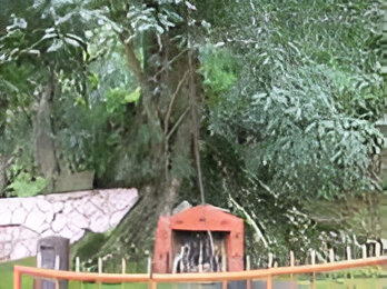 Sacred shrine dedicated to tribal leader Karinthandan in Kerala