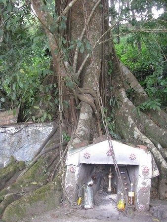 Entrance of Karinthandan Temple near Chain Tree in Wayanad