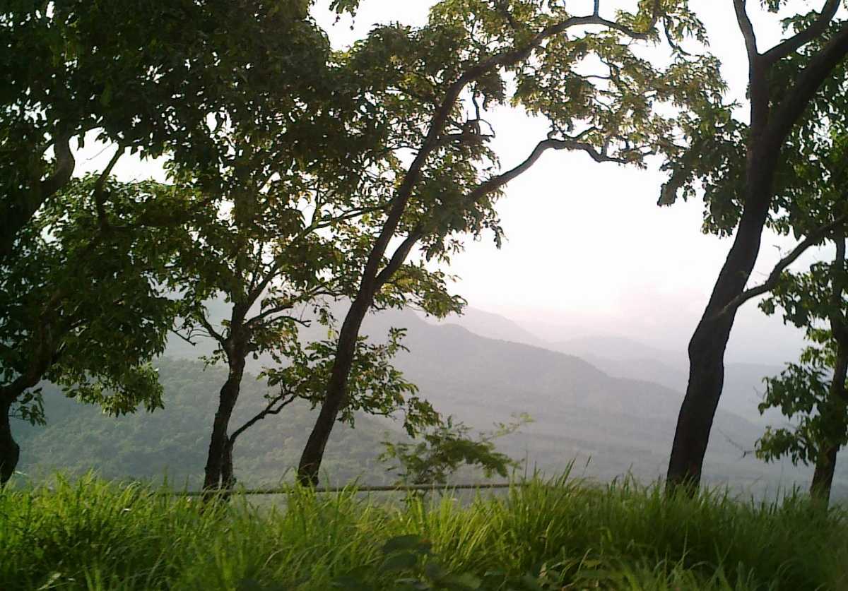 Mananthavady Wayanad