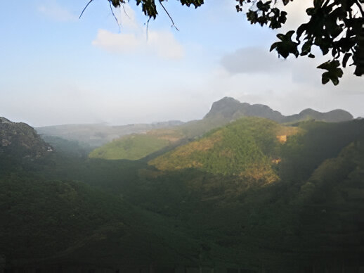 Priyadarshini Hills Wayanad