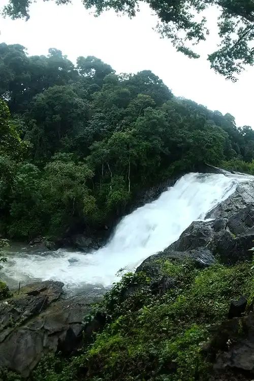Sentinel Rock Waterfalls Wayanad