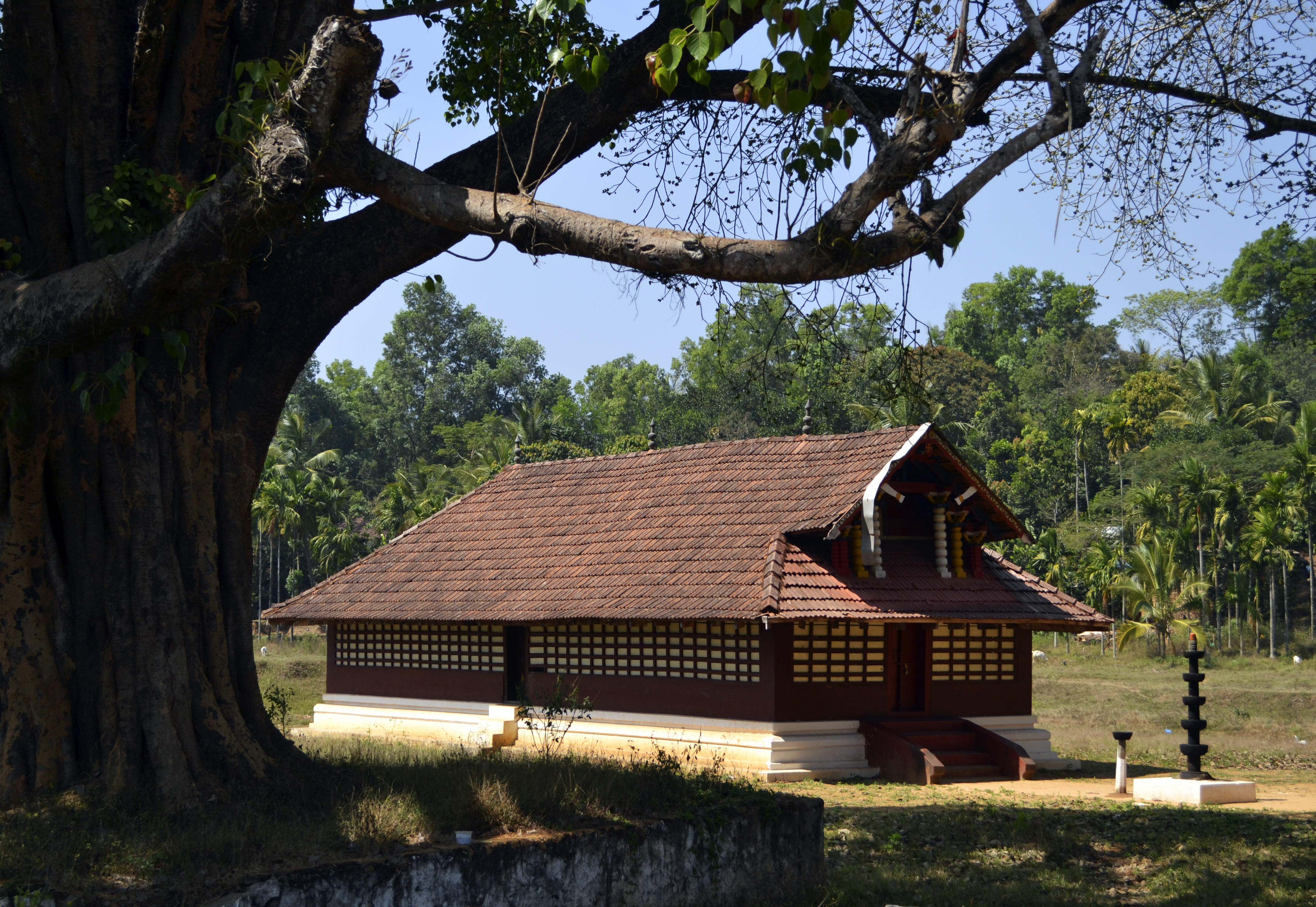 Valliyoorkkavu Temple Wayanad kerala
