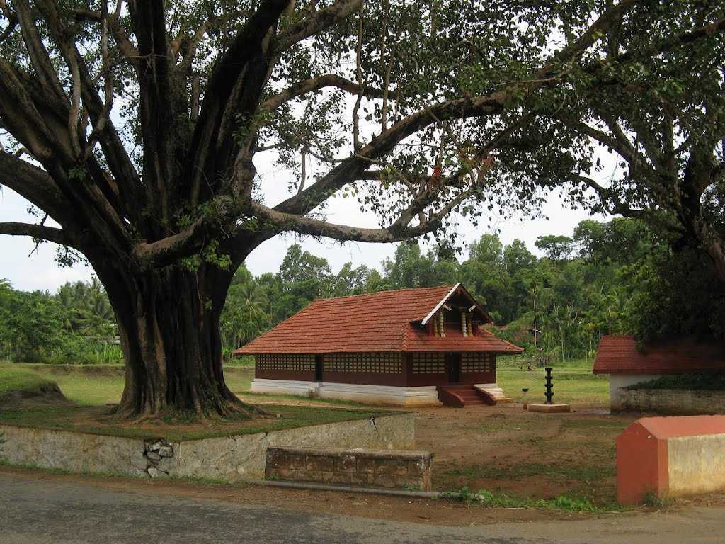 Evening view of Valliyoorkkavu Temple illuminated during festival